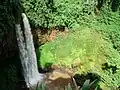 Chutes de la Mouankeu à Bafang.