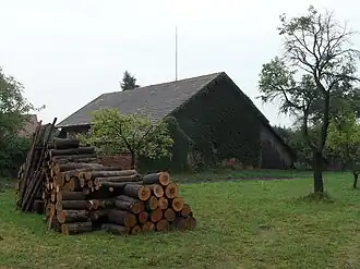 Chvojenec