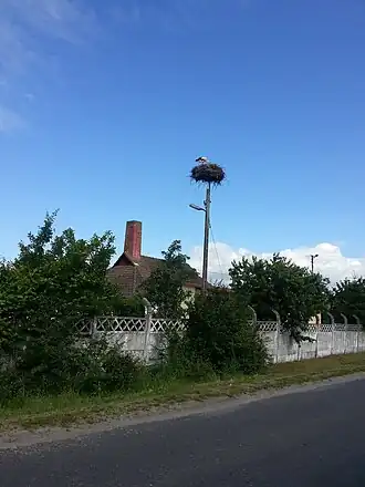 Kamienowola