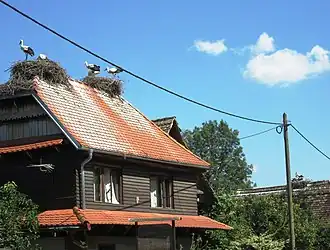 Čigoč