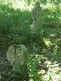 Cimetière bastide disparue de Pont-la-Reine.