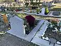 Carré musulman du cimetière de Saint-Denis.