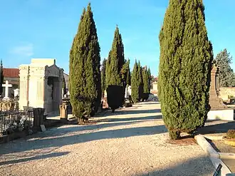 Une allée.