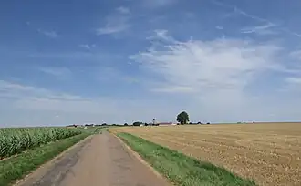 Vue générale.