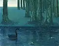 Le cygne noir, 1896