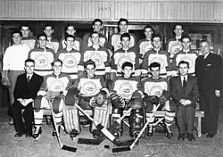 Photographie en noir et blanc d'une équipe de hockey sur glace sur trois rangs.