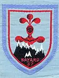Insigne du CJF 37 (2e&nbsp;modèle - manque le 1er&nbsp;modèle).