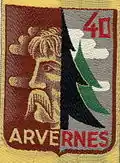 Insigne du CJF 40 (2e&nbsp;modèle).