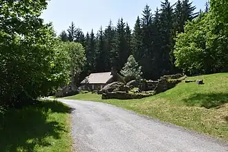 Image illustrative de l’article Forêt domaniale de Larfeuil