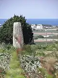 Stèle gauloise de Cléder.