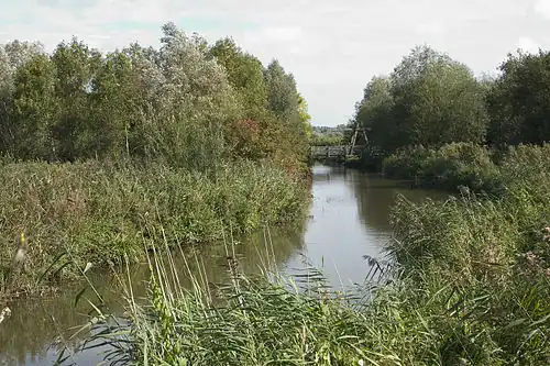 Dans la réserve naturelle du Romelaëre.
