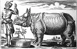 Gravure du rhinocéros Clara, représenté armuré, relativement serein, et chaperoné par un homme coiffé d'un turban et muni d'un bâton de dressage. Le décor est ouvert sur un ciel nu, quelques arbres, mais peu enrichi.