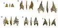 Pointes de Maros classiques avec retrait basal et marges denticulées.