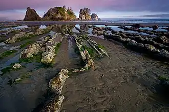 Le Point of Arches, cap sur l'océan Pacifique, dans l'État de Washington.