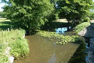 La Clauge à La Vieille-Loye au confluent avec la Tanche.
