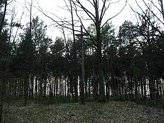 Kałduny (Łódź)