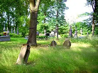 Nowy Modlin