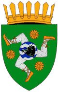 Les armoiries de la commune de Sărata-Galbenă