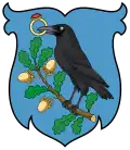 Blason de Hunyad