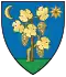 Blason de Tápiószőlős