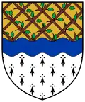 Blason de Bagenalstown