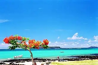 Plage de l'île Maurice.