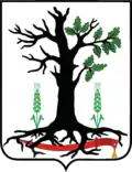 Blason de Raïon de Starodoub