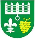 Blason de Diváky