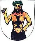 Blason de Opatov