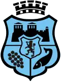 Blason de Vidin