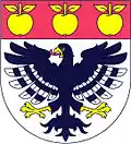 Blason de Nechvalice