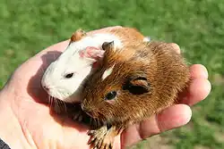 ""
