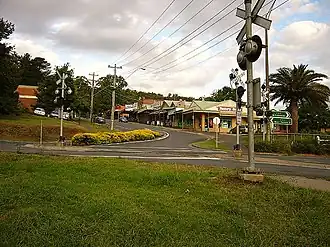 Cockatoo