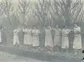 Arboriculture.