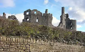 Image illustrative de l’article Château de Coity
