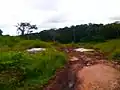 Colline à Ebogo