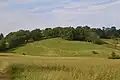 Colline de Régat.