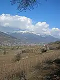 Les collines et les vignobles.