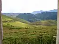Collines de Gishwati.