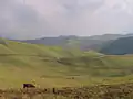 Collines de Gishwati.