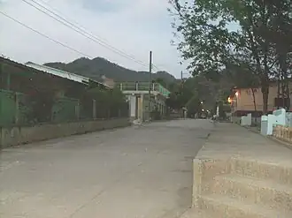 Cololaca