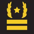 Colonel