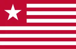 Drapeau de la République du Texas sous James Long.