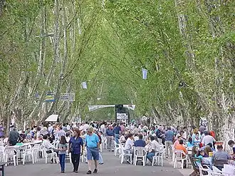 Colonia Caroya