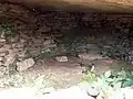 Vue intérieure d'une chambre.