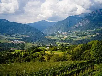 Stenico