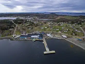 Comfort Cove-Newstead