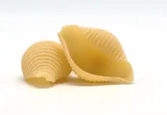 Image illustrative de l’article Conchiglie