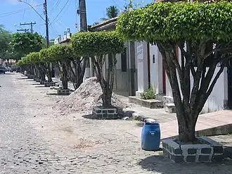 Conde (Bahia)