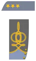 Colonel of Infantery (CSA)